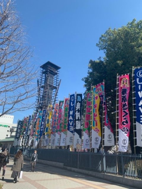 Image in a image block