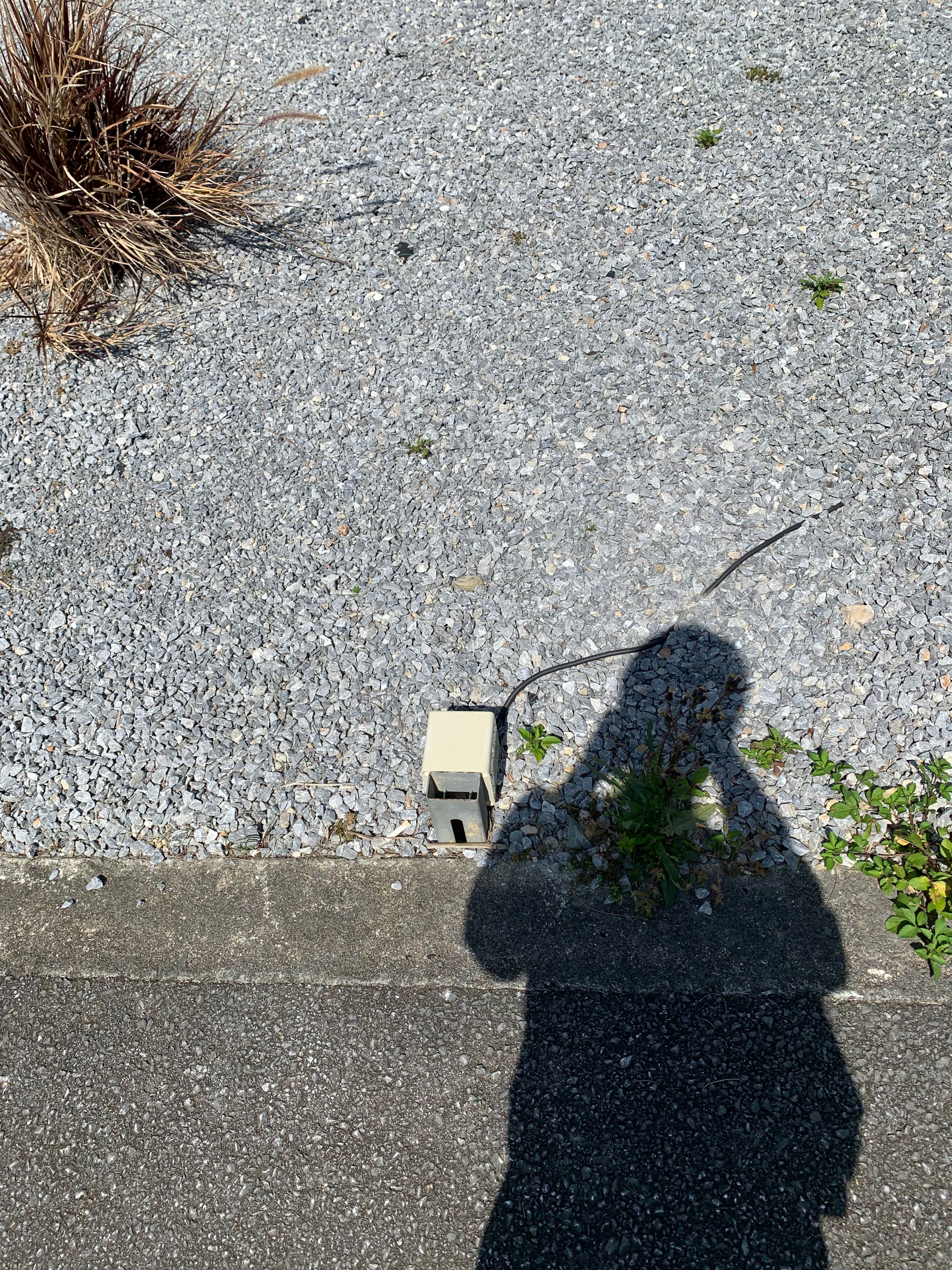 Site cover image
